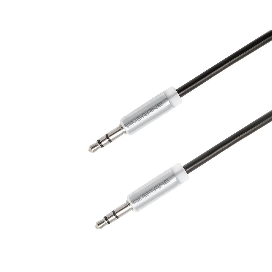 Ambrane Aux cable - Nazakat Telecom