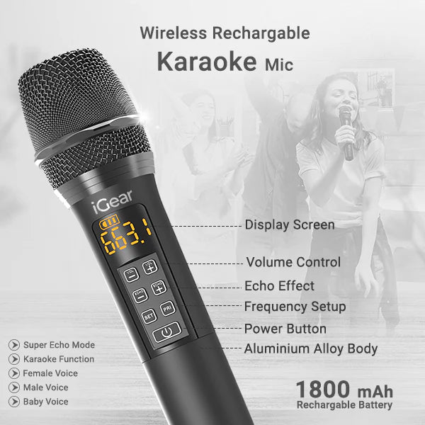 iGear Grape Speaker - 70Watt - Nazakat Telecom