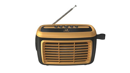 iGear Goldie Radio